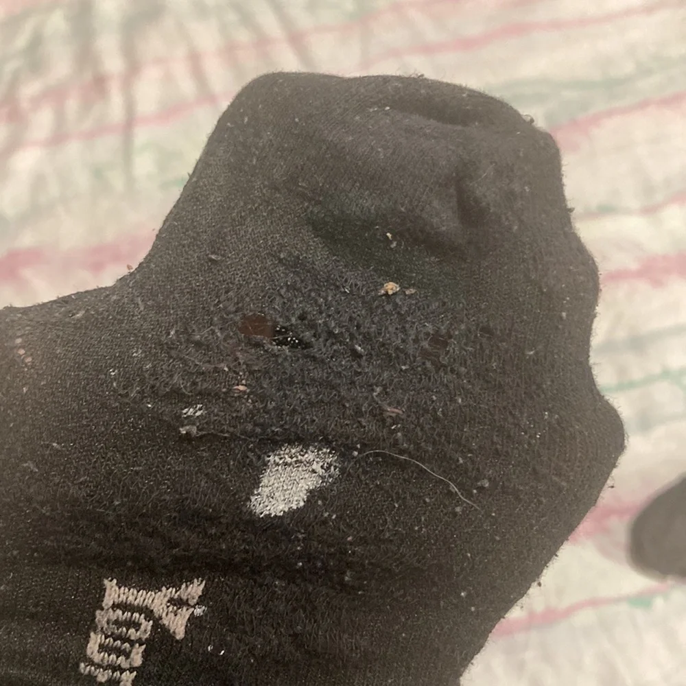 4/$20 hot topic black goth lace socks